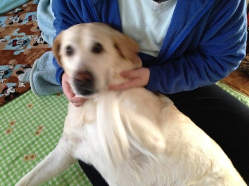 f0315081_20405643.jpeg