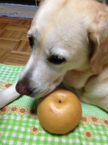 f0315081_20445335.jpeg
