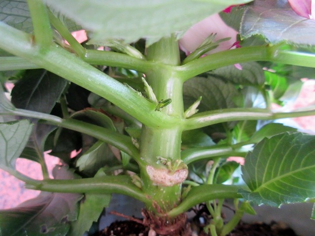 b0182884_0181155.jpg