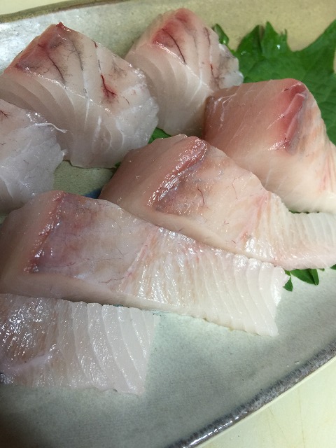 サワラ_d0268290_12374743.jpg