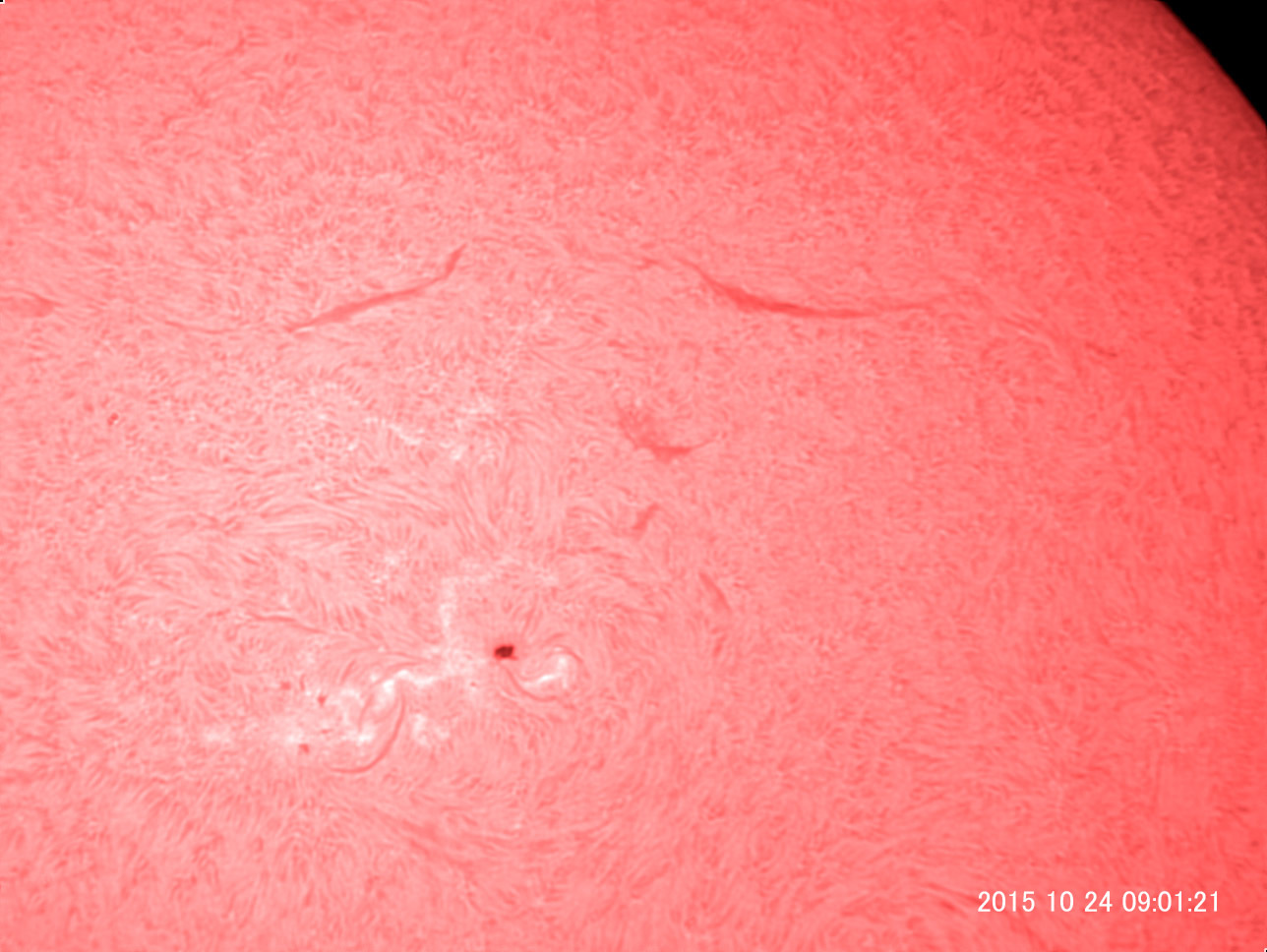 10月24日の太陽_e0174091_11403630.jpg