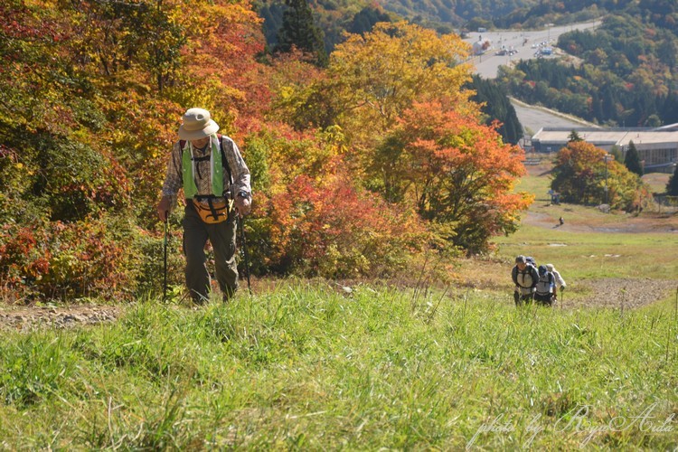 紅葉の山を登る_f0332795_08132517.jpg