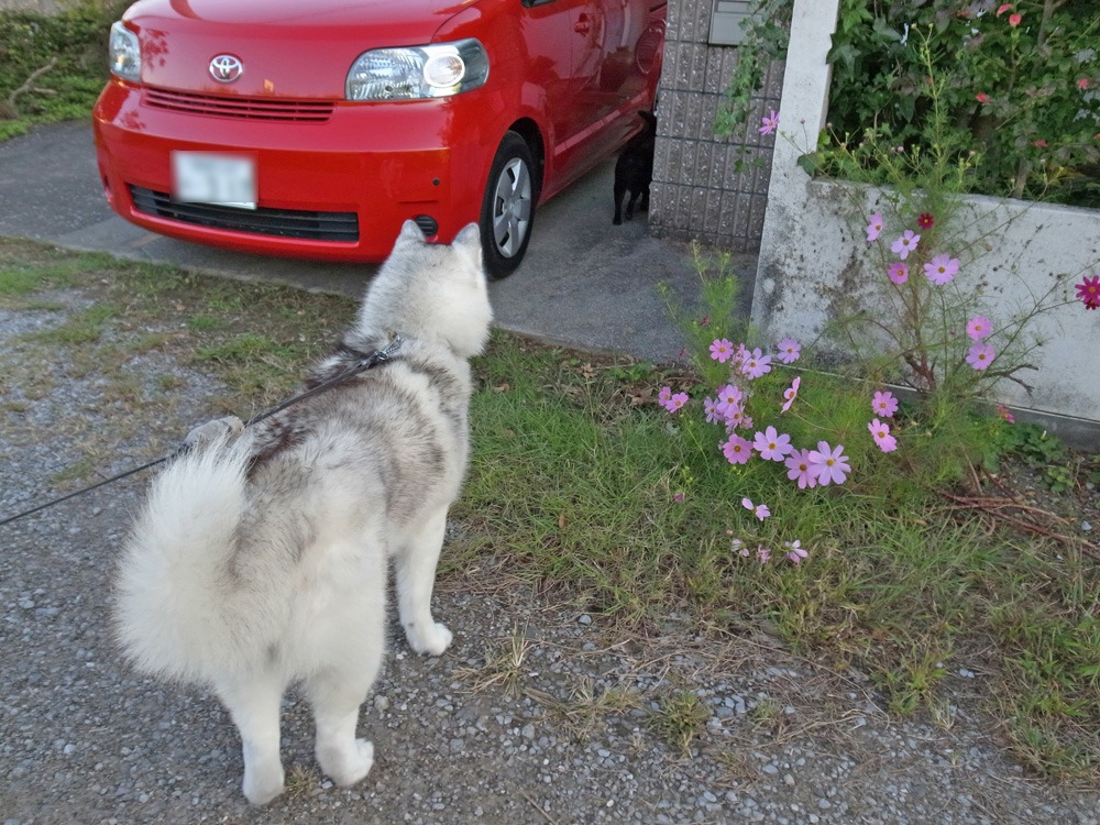 皆さんとのふれあいタイム　(*^_^*)_c0049299_2148411.jpg