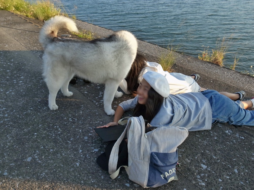 皆さんとのふれあいタイム　(*^_^*)_c0049299_21523218.jpg