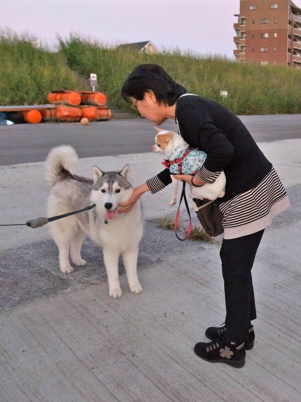 皆さんとのふれあいタイム　(*^_^*)_c0049299_21584915.jpg