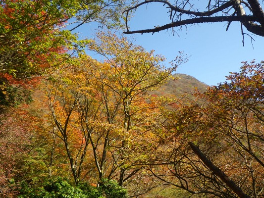 15-10：鶴見岳山系紅葉（大平山・内山）_f0187402_22472220.jpg