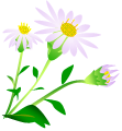 c0051105_11342781.png