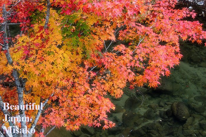 錦秋の流れ・・・せせらぎ街道．｡･：＊：･ﾟ`☆､｡　秋の中へ　10月24日 - Beautiful Japan 絵空事