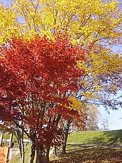 f0316507_21300898.jpg