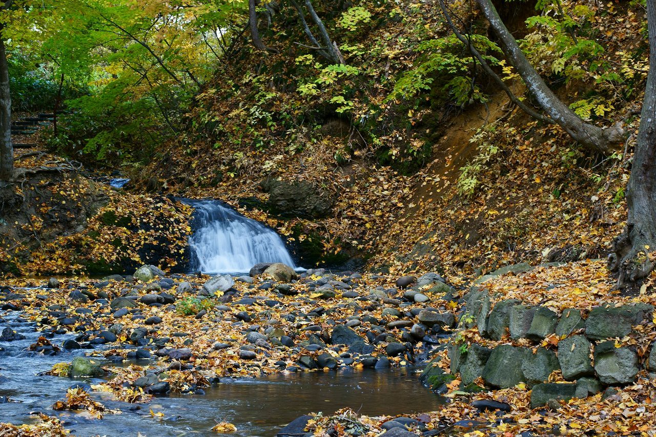 精進川公園の晩秋_b0225108_01283124.jpg