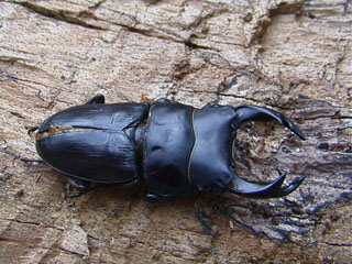 c0346119_20033125.jpg