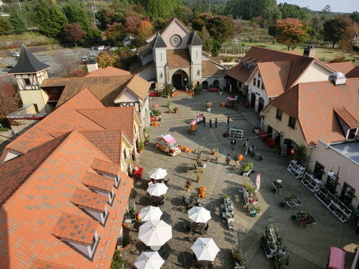 d0221319_8114471.jpg