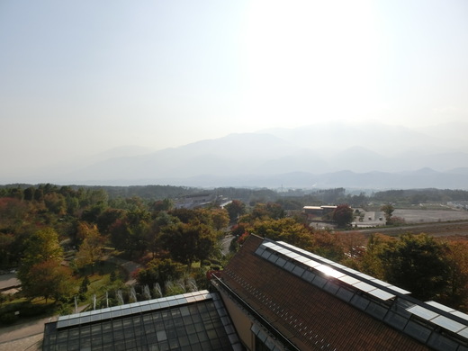 d0221319_8124626.jpg