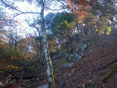 f0193521_912678.jpg