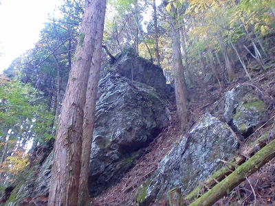 f0193521_96452.jpg