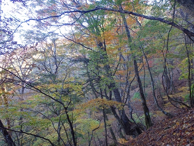 f0193521_974597.jpg