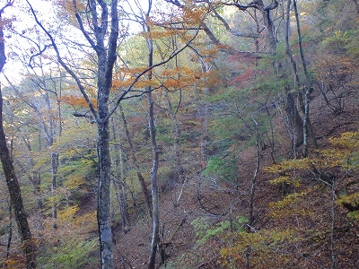 f0193521_98251.jpg