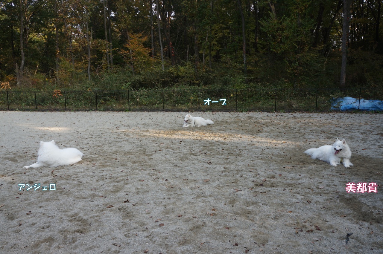 f0234023_14434528.jpg