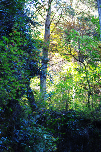 d0263826_17011342.png
