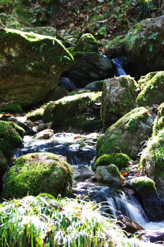d0263826_17012174.png