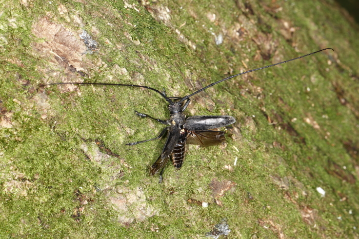 e0337826_08151437.jpg