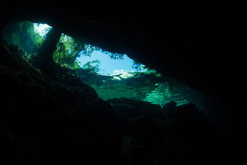 Cenote Azul_e0058628_20243170.jpg