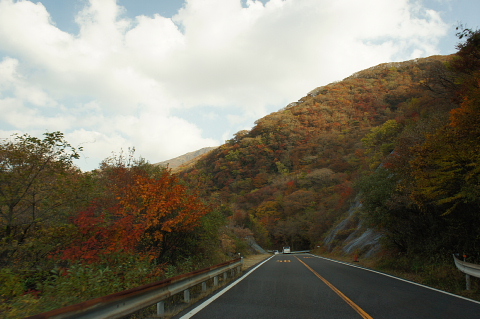 a0222229_1313157.jpg