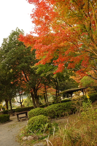 a0222229_1443866.jpg