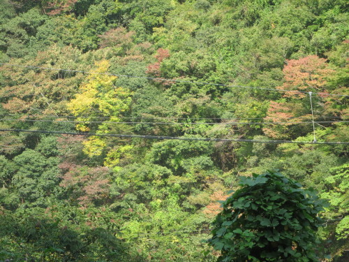 e0198329_13544512.jpg