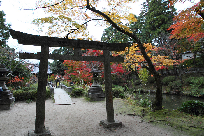 紅葉の叡山電鉄界隈 －曼殊院・門前（後編）－_b0169330_17433883.jpg