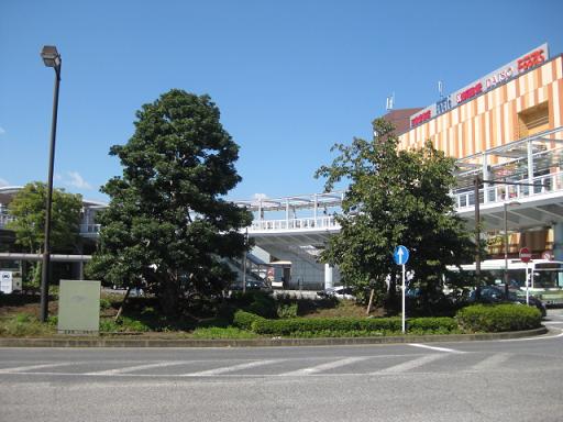 c0217931_1424982.jpg