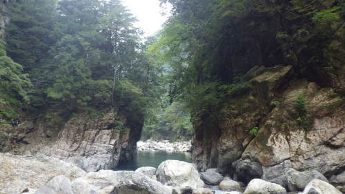 c0029332_17220743.jpg