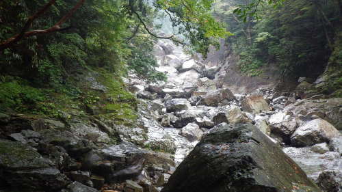 c0029332_17263907.jpg