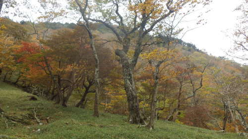 c0029332_17275569.jpg