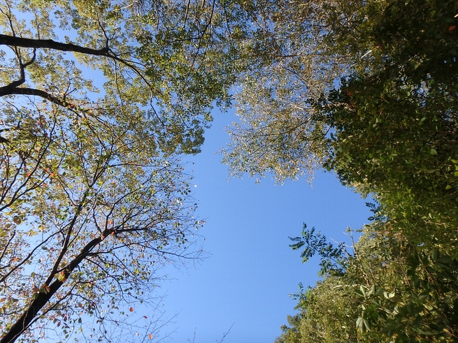 c0113733_2333087.jpg