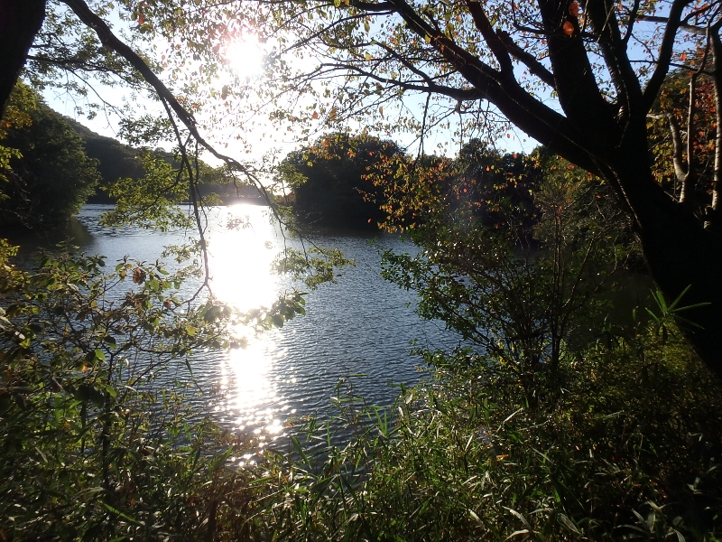 c0113733_23334534.jpg