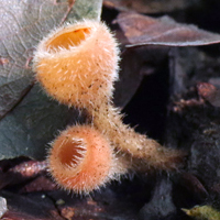 f0108133_88739.jpg