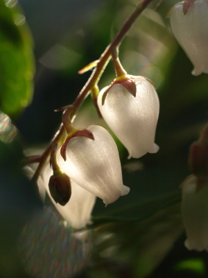 d0346134_21052802.jpg