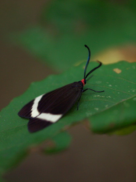 d0346134_21081250.jpg