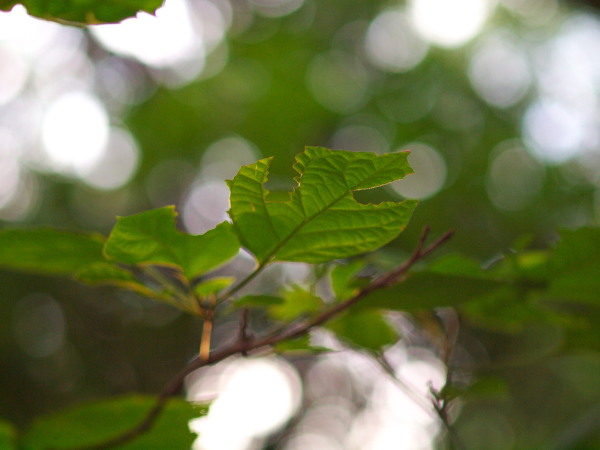 d0346134_21081339.jpg