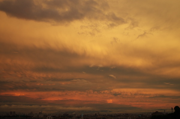 d0346134_21120354.jpg