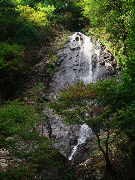 d0346134_21121244.jpg
