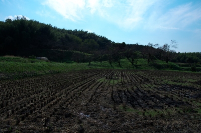 d0346134_21123895.jpg