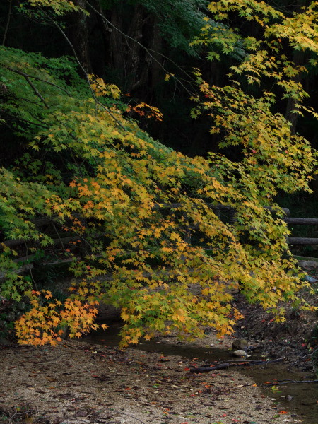 d0346134_21125718.jpg