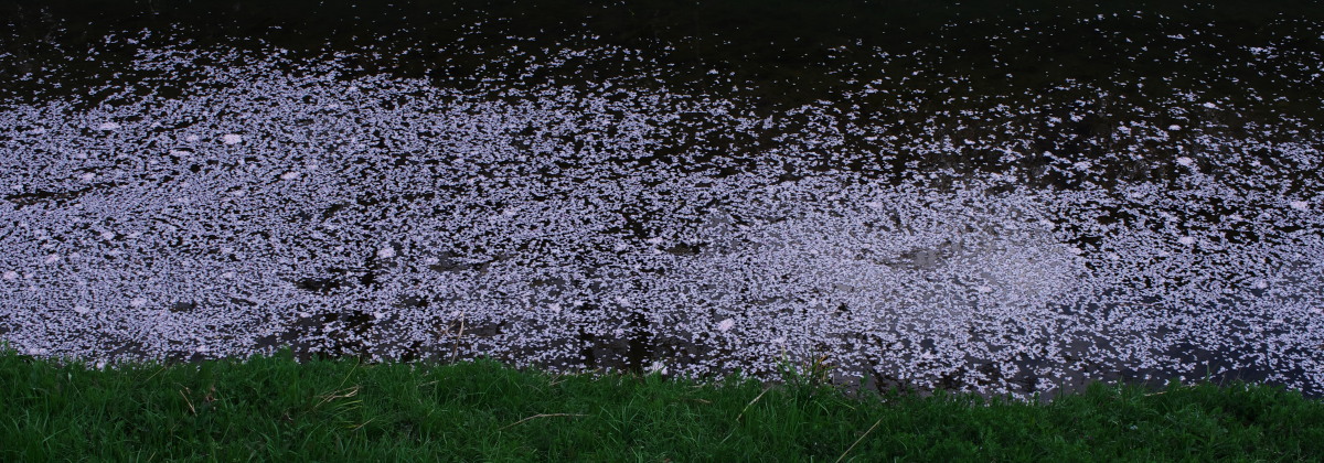 d0346134_21134532.jpg