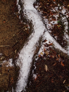 d0346134_21152809.jpg