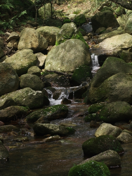 d0346134_21164771.jpg