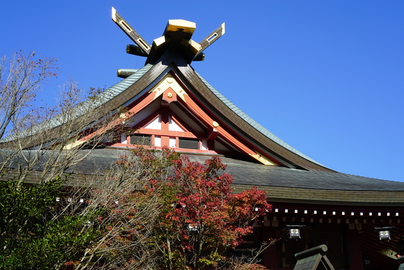 c0193136_17392167.jpg