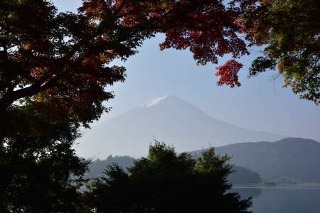 2015年10月22日　富士山　紅葉_c0314839_05485824.jpg