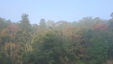 e0145441_00211969.jpg